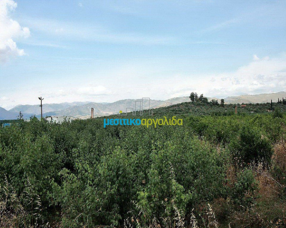 Αγροτεμάχια 4.000 τ.μ. προς πώληση, Αργολίδα, Νέα Τίρυνθα
