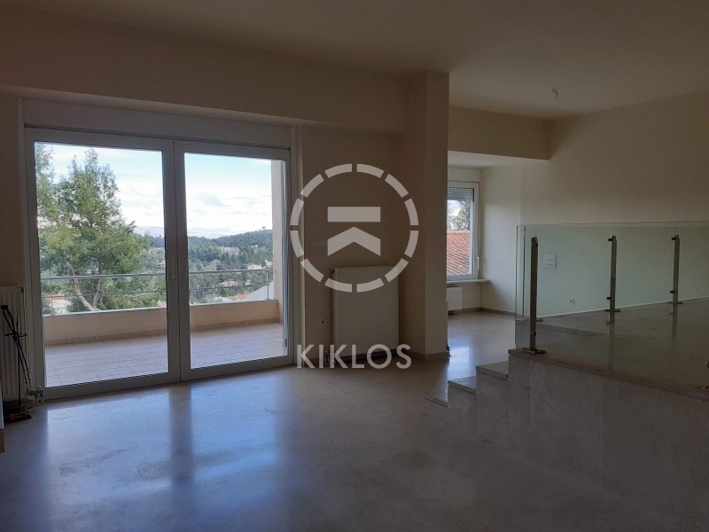 Μονοκατοικία 300 τ.μ. προς πώληση, Καπιτένια