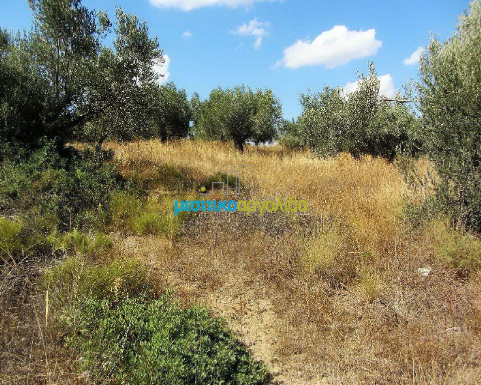 Αγροτεμάχια 10.500 τ.μ. προς πώληση, Φίχτι