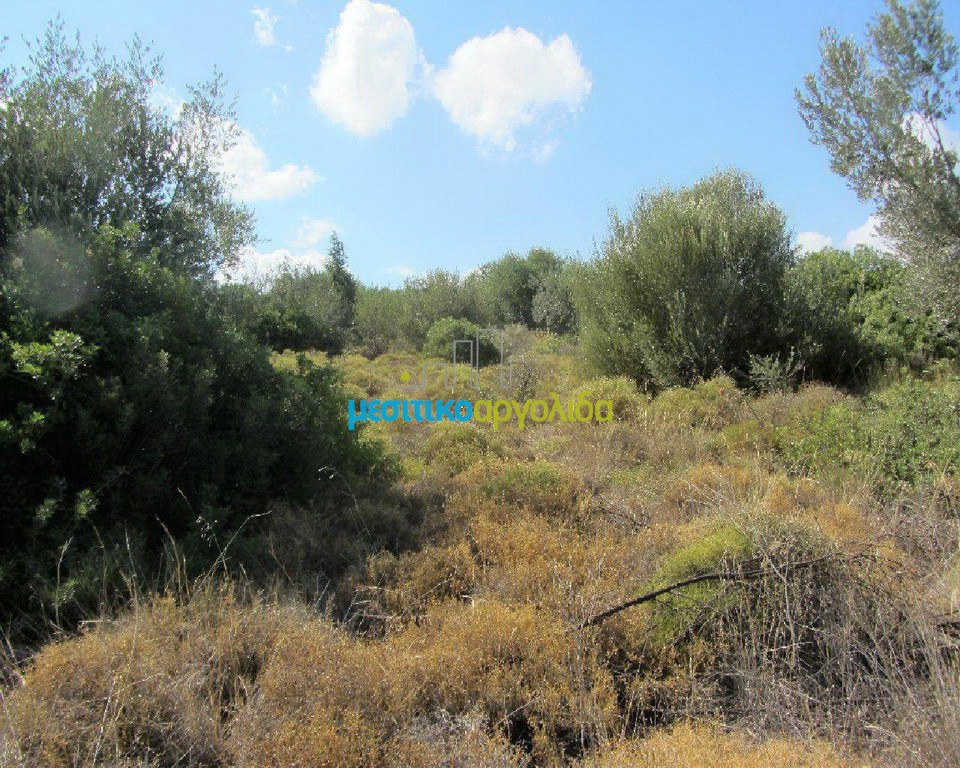 Αγροτεμάχια 10.500 τ.μ. προς πώληση, Φίχτι