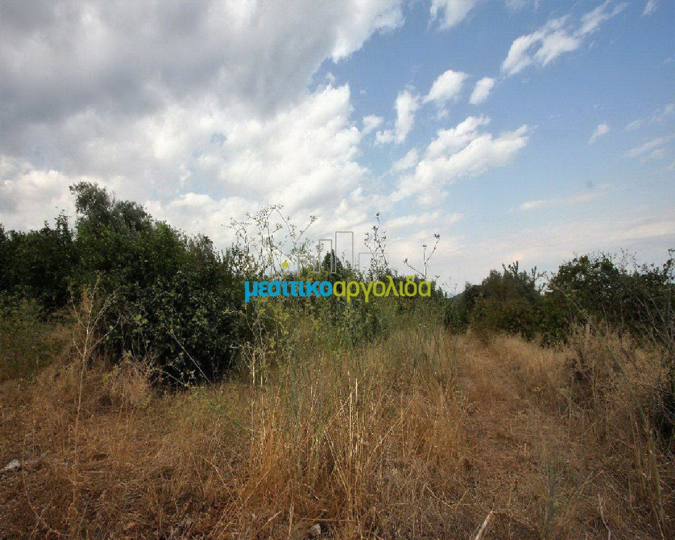 Οικόπεδο 600 τ.μ. προς πώληση, Μύλοι Λέρνας