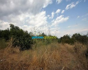 Οικόπεδο 600 τ.μ. για πώληση, Αργολίδα, Λέρνα-thumb-1