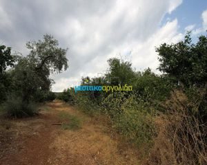 Οικόπεδο 600 τ.μ. για πώληση, Αργολίδα, Λέρνα-thumb-3
