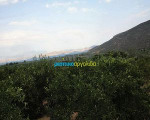 Οικόπεδο 600 τ.μ. για πώληση, Αργολίδα, Λέρνα-thumb-6