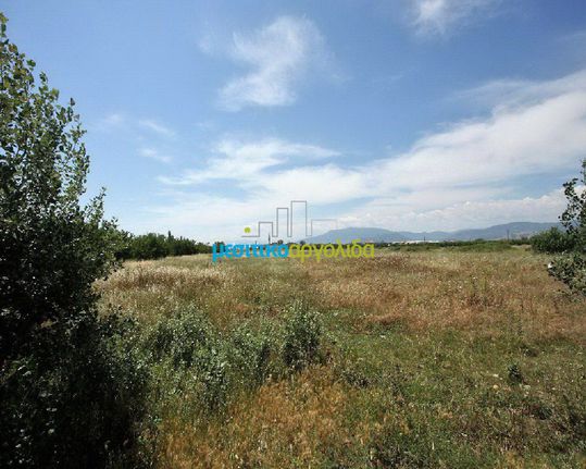 Αγροτεμάχια 7.500 τ.μ. για πώληση, Αργολίδα, Νέα Κίος