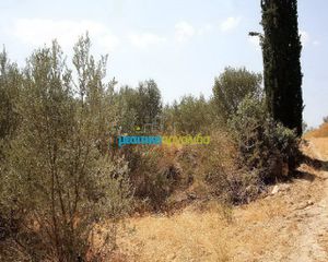 Αγροτεμάχια 3.500 τ.μ. για πώληση, Αργολίδα, Κουτσοπόδι-thumb-3
