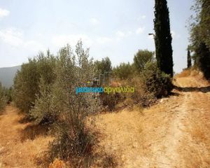 Αγροτεμάχια 3.500 τ.μ. για πώληση, Αργολίδα, Κουτσοπόδι-thumb-2