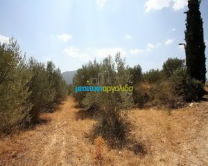 Αγροτεμάχια 3.500 τ.μ. για πώληση, Αργολίδα, Κουτσοπόδι-thumb-1