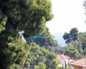 Οικόπεδο 1.050 τ.μ. για πώληση, Αργολίδα, Κρανίδι-thumb-5
