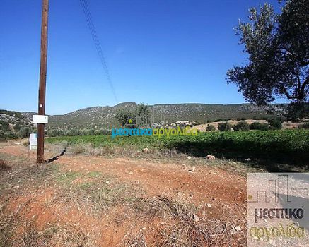 Land plot 17.000sqm for sale-Kranidi