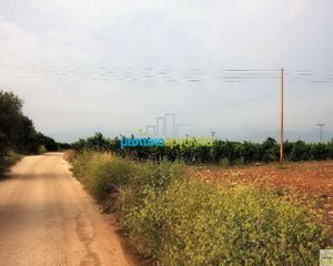 Αγροτεμάχια 5.000 τ.μ. για πώληση, Αργολίδα, Μιδέα-thumb-2