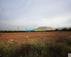 Αγροτεμάχια 5.000 τ.μ. για πώληση, Αργολίδα, Μιδέα-thumb-1