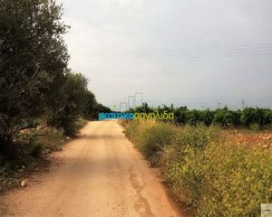 Αγροτεμάχια 5.000 τ.μ. για πώληση, Αργολίδα, Μιδέα-thumb-3