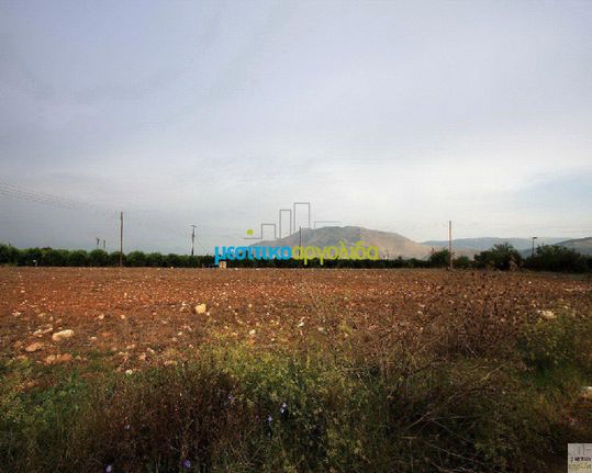 Αγροτεμάχια 5.000 τ.μ. για πώληση, Αργολίδα, Μιδέα