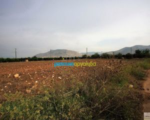 Αγροτεμάχια 5.000 τ.μ. για πώληση, Αργολίδα, Μιδέα-thumb-4