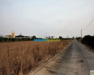 Οικόπεδο 6.800 τ.μ. για πώληση, Αργολίδα, Ναύπλιο-thumb-11