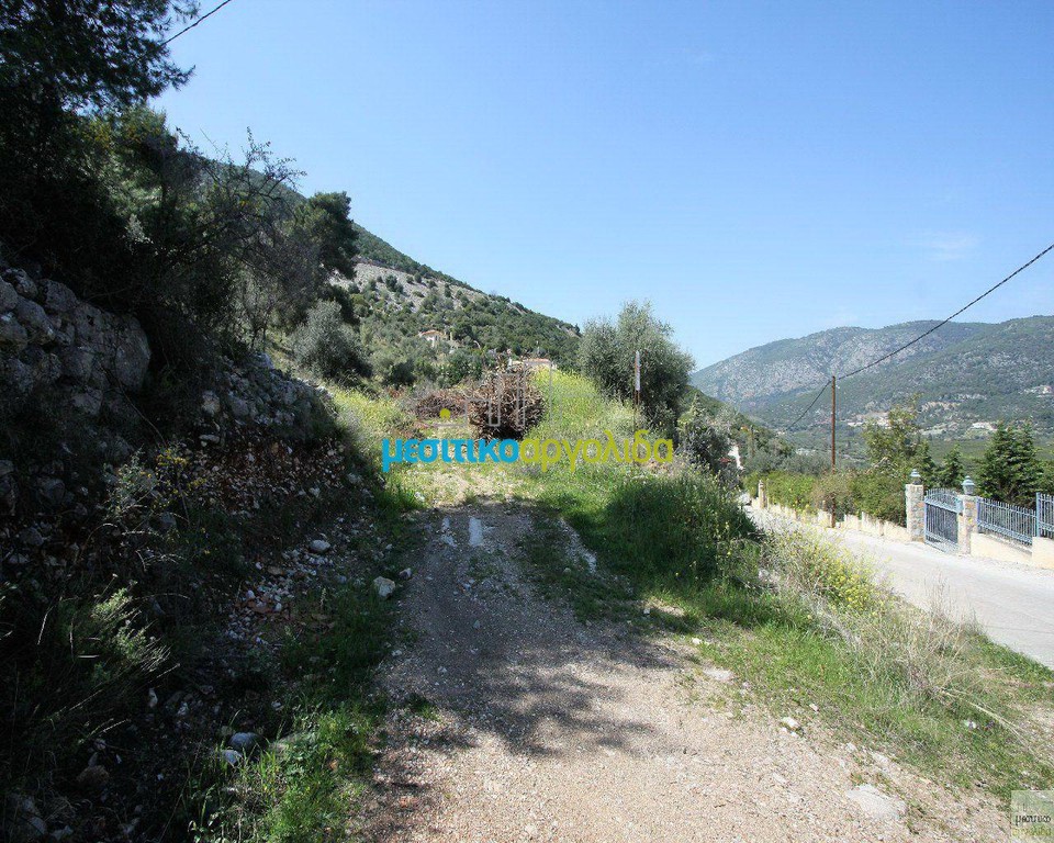 Οικόπεδο 8.300 τ.μ. για πώληση, Αργολίδα, Επίδαυρος