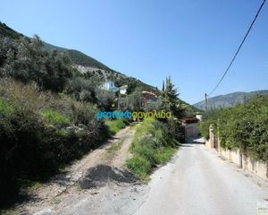 Οικόπεδο 8.300 τ.μ. για πώληση, Αργολίδα, Επίδαυρος-thumb-6