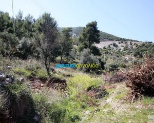 Οικόπεδο 8.300 τ.μ. για πώληση, Αργολίδα, Επίδαυρος-thumb-1