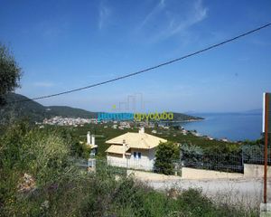 Οικόπεδο 8.300 τ.μ. για πώληση, Αργολίδα, Επίδαυρος-thumb-3