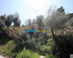 Οικόπεδο 8.300 τ.μ. για πώληση, Αργολίδα, Επίδαυρος-thumb-4