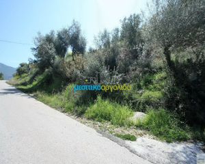 Οικόπεδο 8.300 τ.μ. για πώληση, Αργολίδα, Επίδαυρος-thumb-5