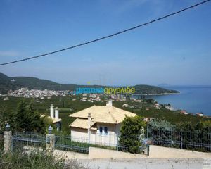 Οικόπεδο 8.300 τ.μ. για πώληση, Αργολίδα, Επίδαυρος-thumb-2