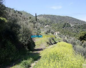 Οικόπεδο 4.000 τ.μ. για πώληση, Αργολίδα, Επίδαυρος-thumb-5