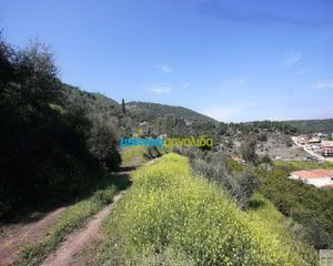 Οικόπεδο 10.900 τ.μ. για πώληση, Αργολίδα, Επίδαυρος-thumb-4