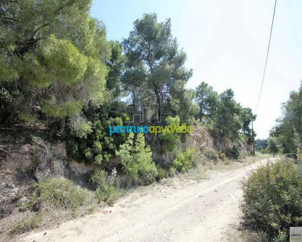 Land plot 1.000sqm for sale-Kranidi