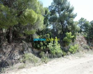 Οικόπεδο 1.000 τ.μ. για πώληση, Αργολίδα, Κρανίδι-thumb-1
