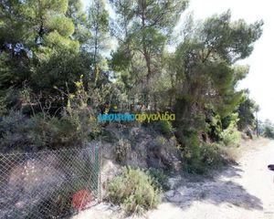 Οικόπεδο 1.000 τ.μ. για πώληση, Αργολίδα, Κρανίδι-thumb-6