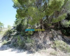 Οικόπεδο 1.000 τ.μ. για πώληση, Αργολίδα, Κρανίδι-thumb-4