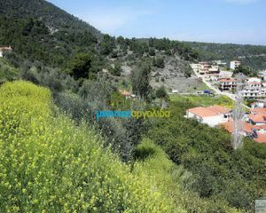 Οικόπεδο 2.900 τ.μ. για πώληση, Αργολίδα, Επίδαυρος-thumb-6
