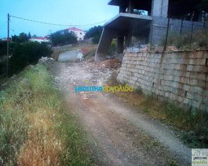 Οικόπεδο 12.000 τ.μ. για πώληση, Αργολίδα, Ασκληπιείο-thumb-19