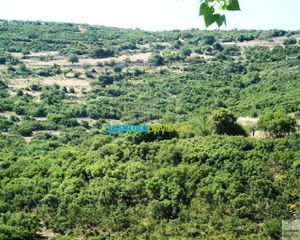 Οικόπεδο 12.000 τ.μ. για πώληση, Αργολίδα, Ασκληπιείο-thumb-3