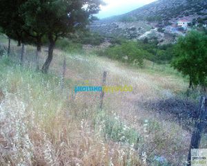 Οικόπεδο 12.000 τ.μ. για πώληση, Αργολίδα, Ασκληπιείο-thumb-21