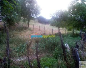 Οικόπεδο 12.000 τ.μ. για πώληση, Αργολίδα, Ασκληπιείο-thumb-17