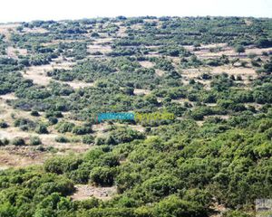 Οικόπεδο 12.000 τ.μ. για πώληση, Αργολίδα, Ασκληπιείο-thumb-2