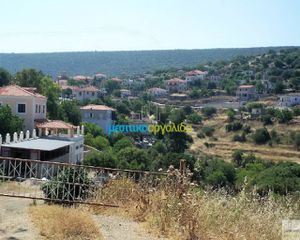 Οικόπεδο 12.000 τ.μ. για πώληση, Αργολίδα, Ασκληπιείο-thumb-6