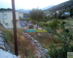 Οικόπεδο 12.000 τ.μ. για πώληση, Αργολίδα, Ασκληπιείο-thumb-23