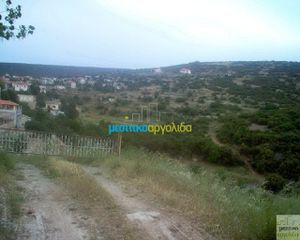 Οικόπεδο 12.000 τ.μ. για πώληση, Αργολίδα, Ασκληπιείο-thumb-11