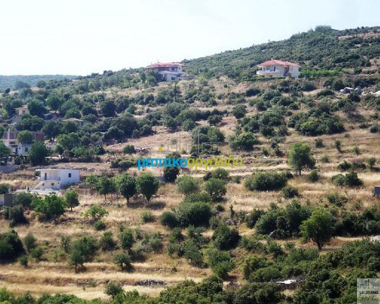 Οικόπεδο 12.000 τ.μ. για πώληση, Αργολίδα, Ασκληπιείο