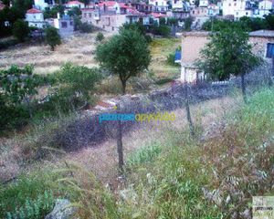 Οικόπεδο 12.000 τ.μ. για πώληση, Αργολίδα, Ασκληπιείο-thumb-20