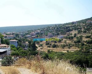 Οικόπεδο 12.000 τ.μ. για πώληση, Αργολίδα, Ασκληπιείο-thumb-7