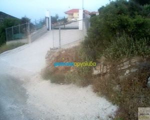 Οικόπεδο 12.000 τ.μ. για πώληση, Αργολίδα, Ασκληπιείο-thumb-14