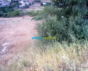 Οικόπεδο 12.000 τ.μ. για πώληση, Αργολίδα, Ασκληπιείο-thumb-13