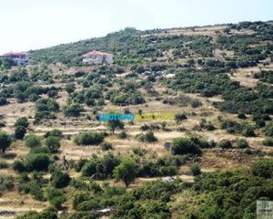 Οικόπεδο 12.000 τ.μ. για πώληση, Αργολίδα, Ασκληπιείο-thumb-1