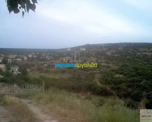Οικόπεδο 12.000 τ.μ. για πώληση, Αργολίδα, Ασκληπιείο-thumb-9