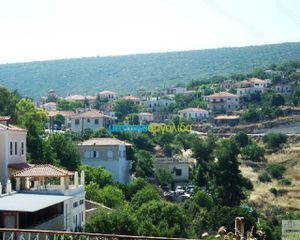 Οικόπεδο 12.000 τ.μ. για πώληση, Αργολίδα, Ασκληπιείο-thumb-5